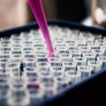 In Vitro