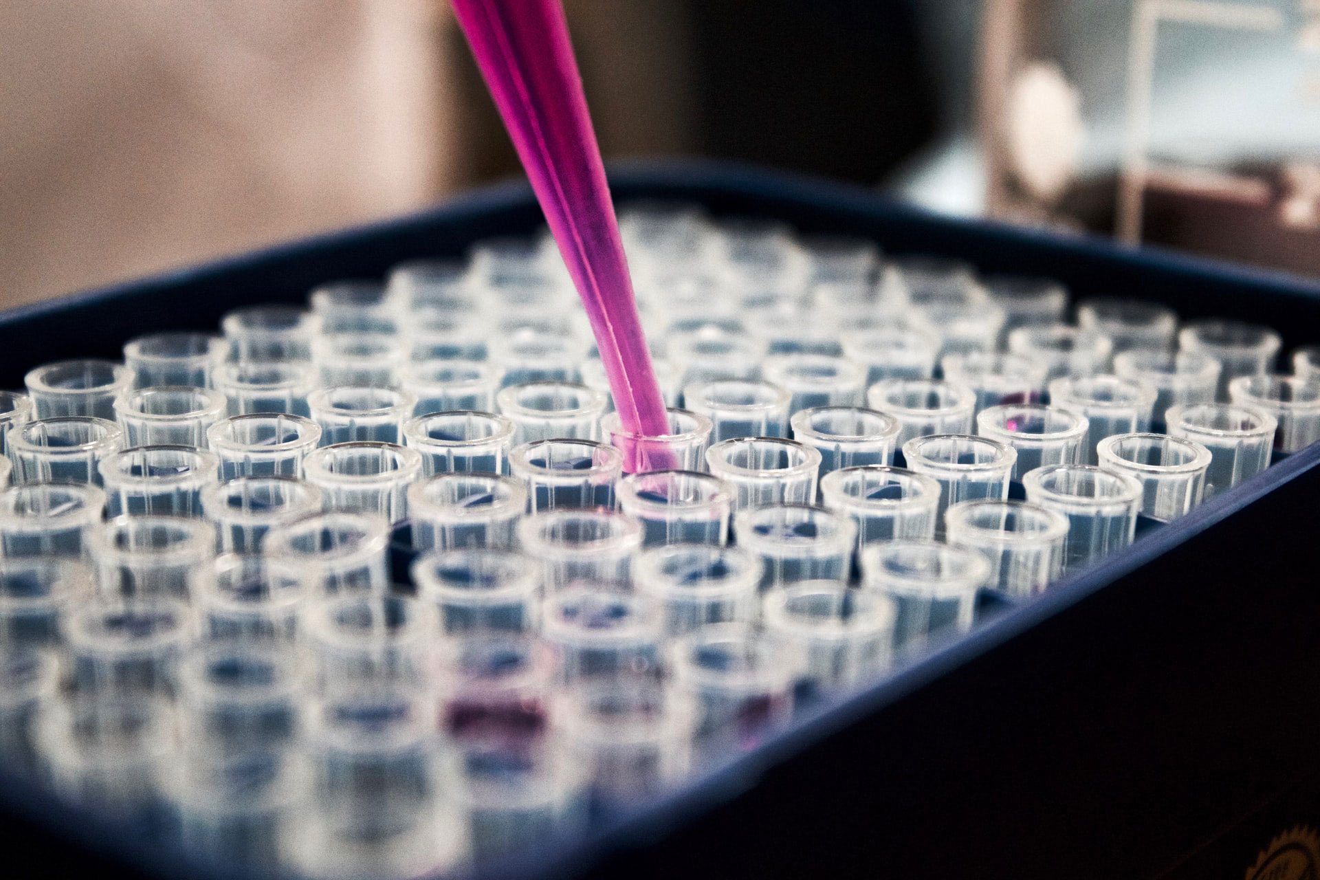 In Vitro