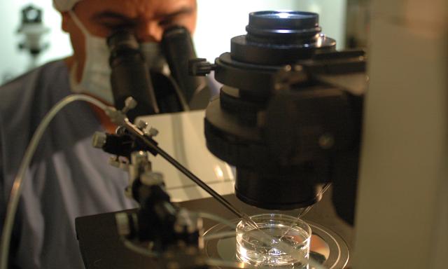 Fertilización in Vitro